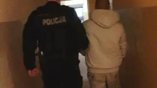 Psy zostały ranione podczas zatrzymania podejrzanego o handel narkotykami