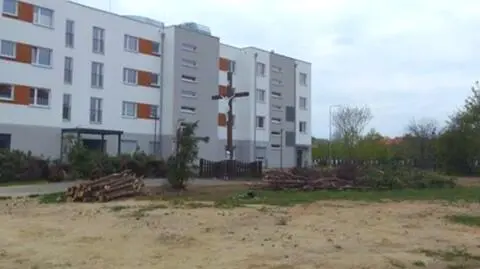 Poznań: Ksiądz wyciął tuje, gniazda ptaków zniszczone