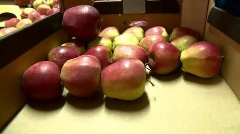 Polska cena rosyjskiej agresji
