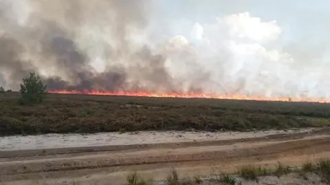Ogromny pożar wrzosowisk na wojskowym poligonie