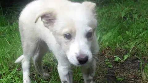 "Przykryła go miską i czekała, aż skona". Usłyszała zarzut 
