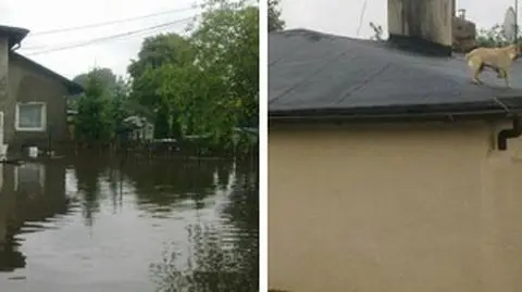 Zalane mieszkania, połamane drzewa