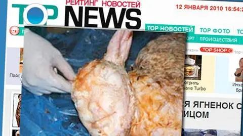 Jagnię z "ludzką twarzą"