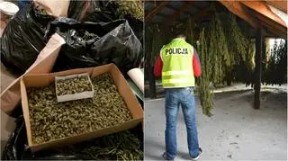 Policja zabezpieczyła 60 kilogramów suszu