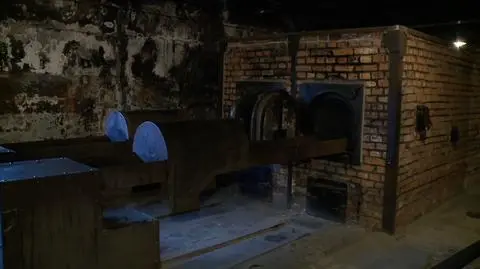 Police arrested two Hungarian tourists who attempted to remove a brick from the crematorium in Auschwitz-Birkenau