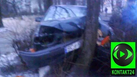 Wylądował na drzewie i uciekł
