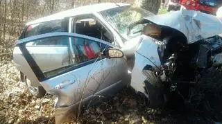 Jeden z samochodów uderzył w drzewo 