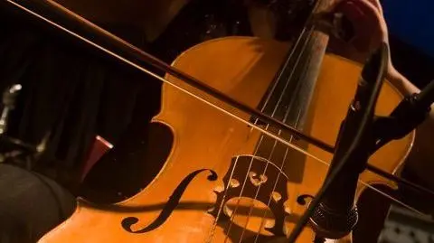 Od rocka do folk metalu. 
"Metropolia jest okey" w Trójmieście