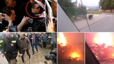 Piorun na autostradzie, premier w błocie i miś na ulicach. Wybraliście wideo tygodnia