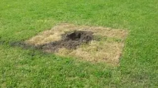 Miejsce, w którym stał Dąb Wolności 