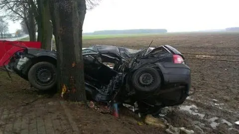 Wypadek na Opolszczyźnie. Dwie osoby nie żyją