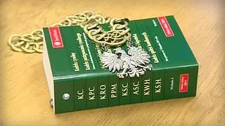 Dziennikarzom będzie łatwiej uniknąć kary za zniesławienie?