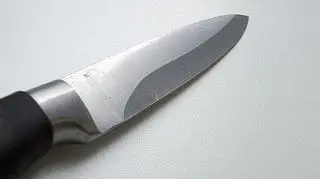 Natalia uderzyła nożem kochanka, bo skrzywdził jej kota 