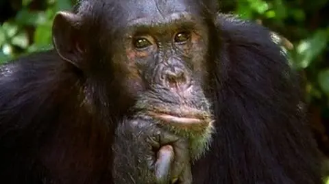 Na ratunek przyrodzie!