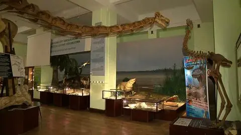 There&#039;s a lot to display but no space to do it. Warsaw Museum of Evolution in trouble