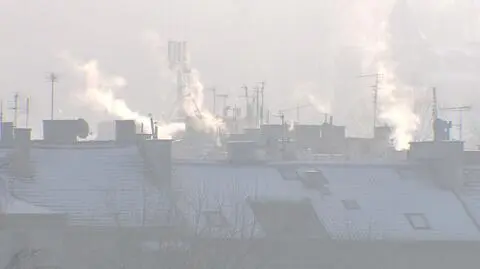 Rząd ma pomysł na walkę ze smogiem
