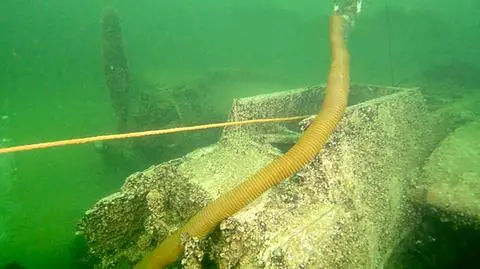 Kto wydobędzie z Bałtyku amerykański bombowiec? "Rozmowy trwają"