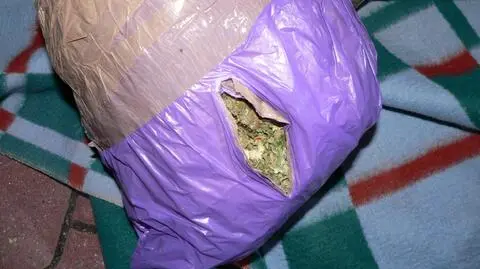 Szczecin. Policja zabezpieczyła 7 kg marihuany