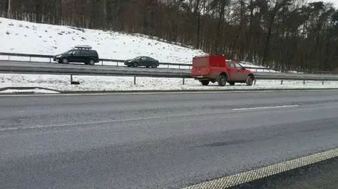 Ranny pies na autostradzie. Interweniować może tylko specjalista