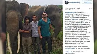 Leonardo DiCaprio na Instagramie pisał o zagrożeniach ekologicznych na Sumatrze