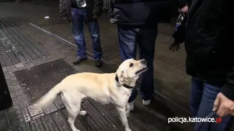 Tilia nie przepuści żadnemu amatorowi narkotyków