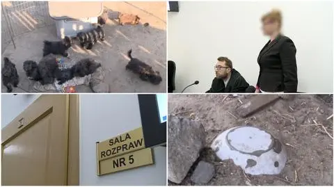 Kalisz: Kara dla właścicielki hodowli