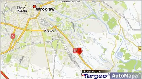 13-latka potrącona na pasach. Kierowca wyprzedzał?