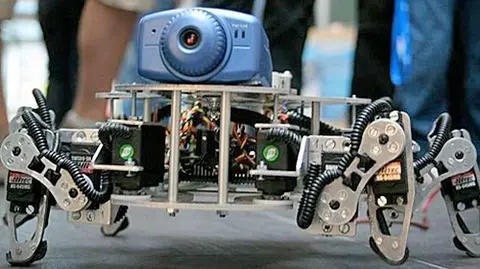 Roboty walczą w sumo