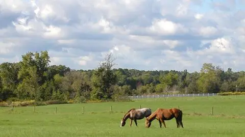 Praca marzeń na Mazowszu