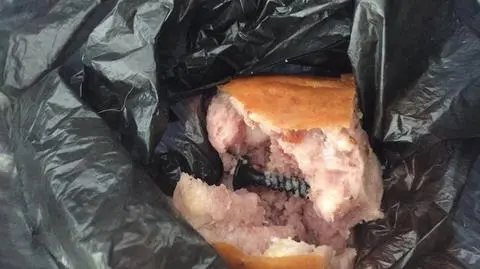 Gdynia: Ktoś podrzuca psom kiełbasę z wkrętami