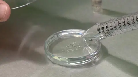 Przyczynami mogą być zanieczyszczenie środowiska, bądź chemia w jedzeniu czy kosmetykach