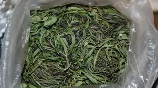 Marihuana dla pseudokibiców 