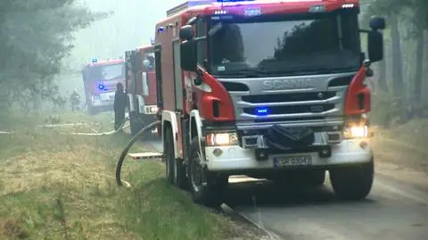 Drought in Poland caused a record number of grass and forest fires