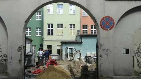 Poznań: koniec kłopotów z prądem. Założono "szczuroodporny" kabel