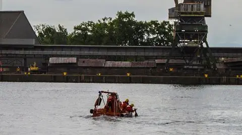 Świnoujście: akcja ratownicza koziołka
