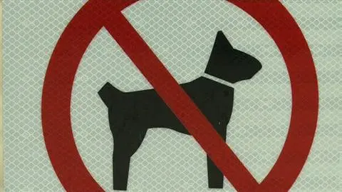 Miłośnicy psów mogą rozpocząć batalię o usunięcie tabliczek 