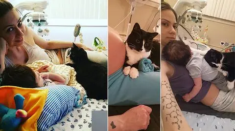 Młoda kotka została opiekunką dziecka