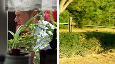 "Panie premierze. Dlaczego nie mogę jeździć konno w lesie?!"