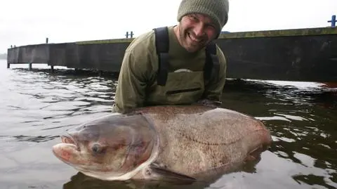 Michał z rekordową tołpygą