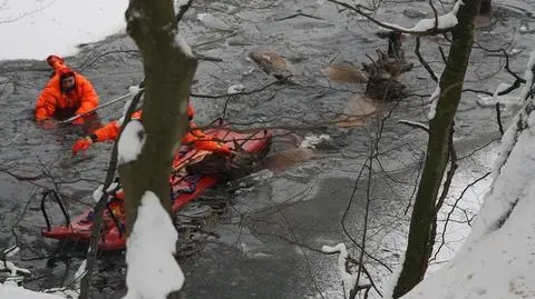 Pod jeleniami załamał się lód. Ratowali je strażacy