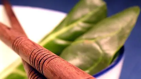 Pałeczki nie doczekają igrzysk w Pekinie