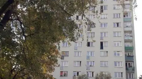 Wyrzucił psa z ósmego piętra. Jest areszt