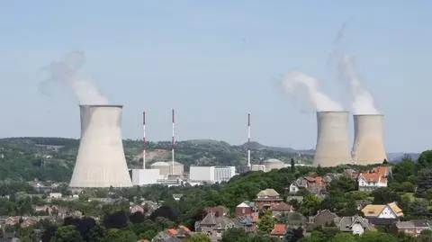 Zamachowcy z Belgii mogli planować atak na krajową elektrownię atomową
