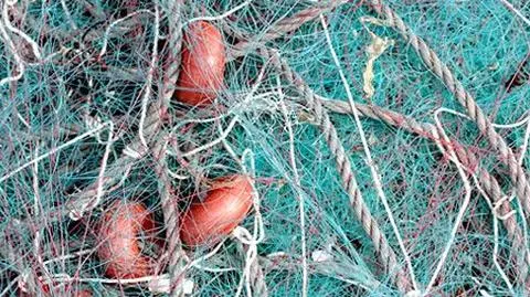 Znaleziono ciała trzech rybaków