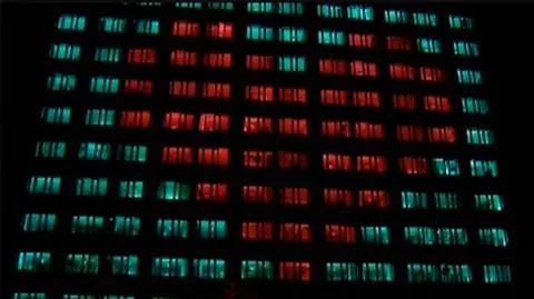 Akademik z sercem w oknach