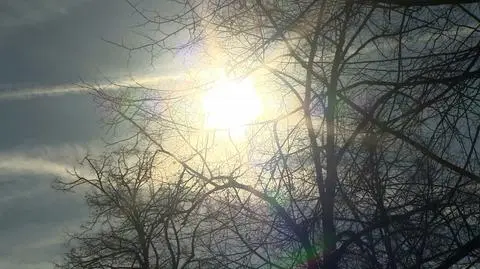 Spring has come to Poland in February
