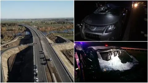 W ciągu tygodnia na drodze S7 były trzy wypadki z łosiami