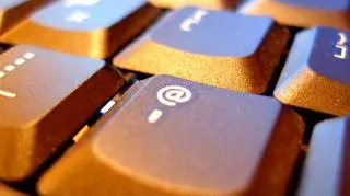 Za opublikowanie zdjęcia misiów w internecie, białoruski student może się spodziewać kary 