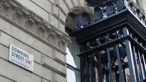 Świńska grypa w domu premiera