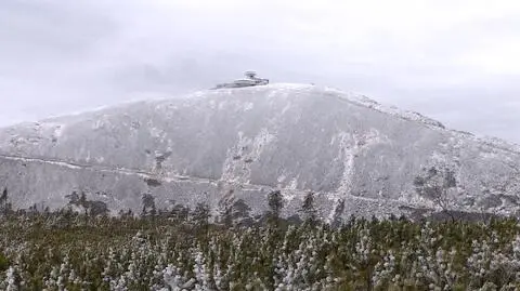 Próbowali wejść na Śnieżkę w spodenkach i bikini